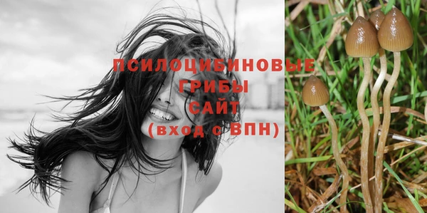 крисы Алексеевка